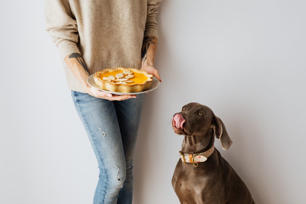 Is Pumpkin Good for Dogs